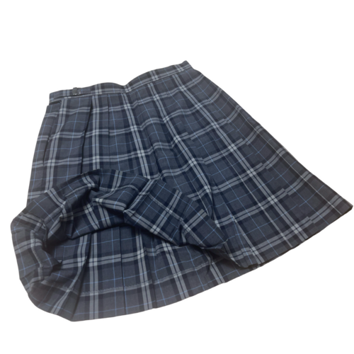 �����s �������q�����w�Z�@���e�@�ăX�J�[�g�@�O���[�ƒW���u���[�̃��C�����������^�[�^���`�F�b�N��