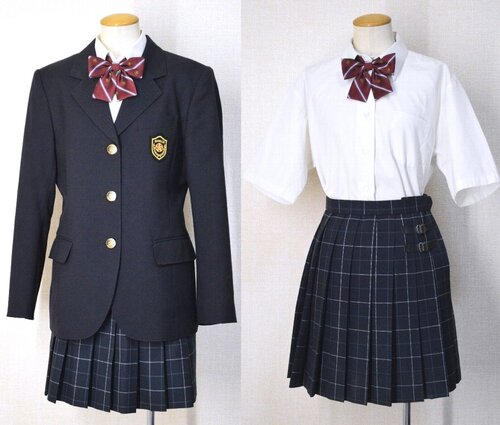  �������s�� �ΐ_�䍂���w�Z �u���U�[�~�ĕ� ���{����T5942