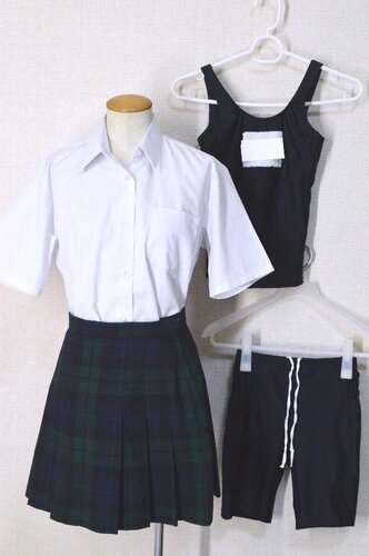  ���ĕ� �΃`�F�b�N�X�J�[�g �X�N�[��������T5954 �s��