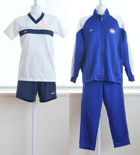  �������s ���a���q��w�������a���Z �̑����W���[�W4�_�i�T�C�YS�j ���q�������Ɛ��̕ۊǕi