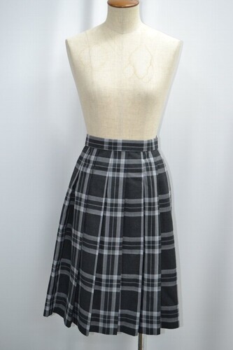  �Z��size W75 ��ʌ� �b�������w�Z �~�X�J�[�g ����6179