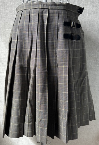 [�s��] �����q�����������ăX�J�[�g