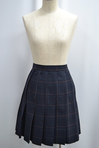  �Z��size W75 �����s�� ��O���ƍ����w�Z �ăX�J�[�g ����6181