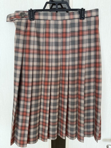 ���m�� �傫���T�C�Y�@�����w�������Z�@�w��~�X�J�[�g�@�����X�J�[�g�@�`�F�b�N���@�I�����W