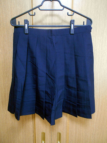 ��ʌ� ����s �\�񌎓c���w�Z 75-60 �� �ĕ� ���� �X�J�[�g �ԂЂ�16�{