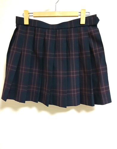  �s�s���t�Ԍn�`�F�b�N�~�j�ăX�J�[�g