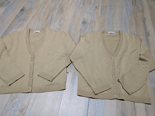 ���R�� ���R�����������������w�Z ���q�j�b�g�J�[�f�B�K��2���Z�b�g