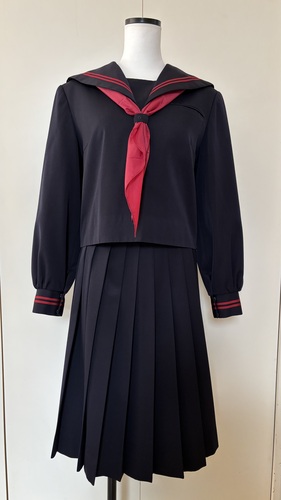 [�s��] �Z���s�� �Z�[���[ �~�����Z�b�g