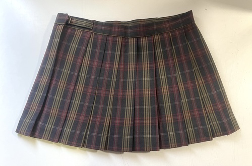 ���ꌧ ���z���Z���}�C�N���~�j�X�J�[�g