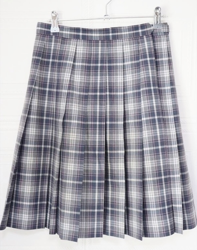 �����s ���� ���~�w�����Z ���� �ĕ� �`�F�b�N�X�J�[�g �E�G�X�g�V�O �ɐ��O��