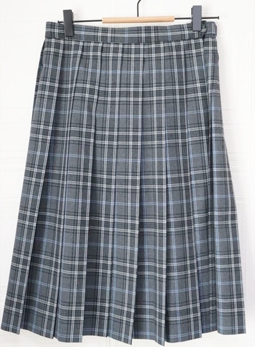 ��ʌ� ���� �דc�w�����Z ���q ���� �ĕ��X�J�[�g �E�G�X�g�U�X