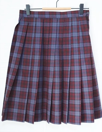 ��ʌ� ���� �����썂�Z ���q ���� �ĕ��X�J�[�g �E�G�X�g�U�X