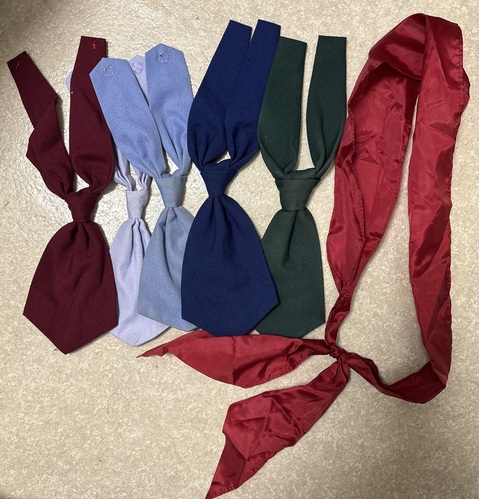 [�s��] ���q�X�N�[�����{���E�l�N�^�C�@���{��9�E�l�N�^�C8  �S17