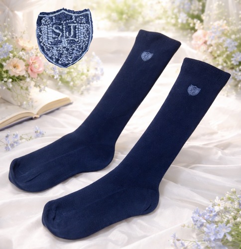 �����s �i�쏗�w�@�������@�n�C�\�b�N�X SJ�̎h�J�G���u����