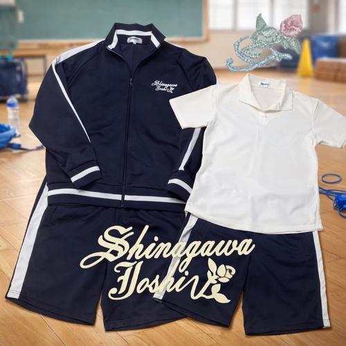 �����s �i�쏗�w�@�������@�̑����@�|���V���c�@�Z�p���@�W���[�W��@�@�\���Ɠ��ꊴ��ǋ������w��̑���