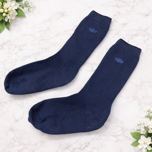 ���Q�� ���J�^���i���q�����w�Z�@���݋��w�@�~�h����\�b�N�X�@���^���͑�������