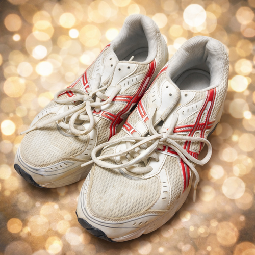 ���Q�� ���J�^���i���q�����w�Z�@���݋��w�@�̈�V���[�Y�@�O�΂��@24.0