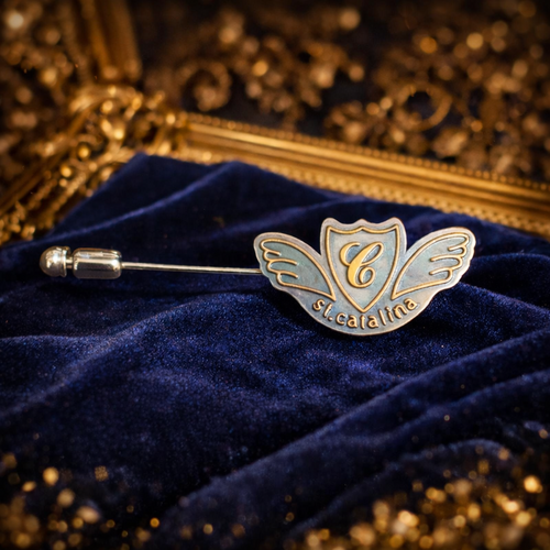 ���Q�� ���J�^���i���q�����w�Z�@�Z�̓s���o�b�W  �`�����ے�����G���u�����v