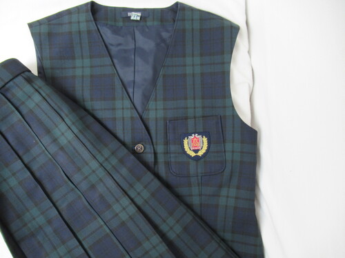 �{�茧 9225�@740�@�Q�č��Z �x�X�g���X�J�[�g HANAEMORI �`�F�b�N��