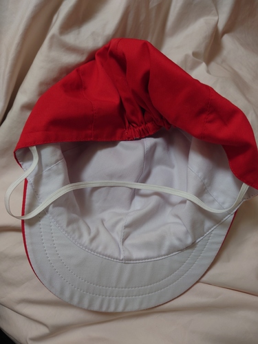 [�s��] ���w���p�@�ԖX�q�@�̈�p�@�w�Z�p