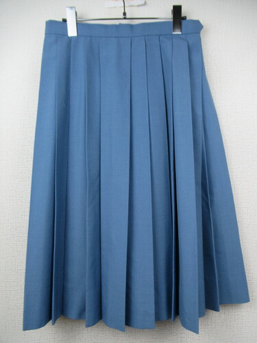 [�s��] 9274�@460�@�傫�ȃT�C�Y�I�Ē݃X�J�[�g ���F�n