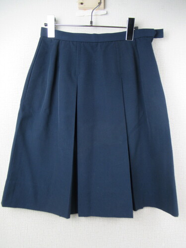 [�s��] 9278�@350�@�ăX�J�[�g ���n