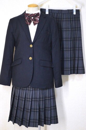  ����ʌ��� �Y�a�������w�Z �u���U�[�~�ĕ� ���{����T5958