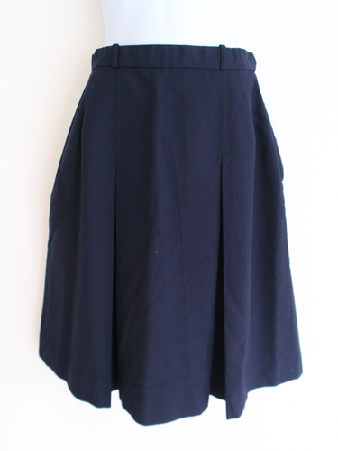 �����s ���쏗�q�w�����w�����w�Z�@�~�p�v���[�c�X�J�[�g�@�����f��