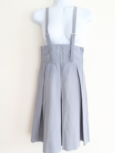 �F�{�� �F�{��w����w���t�����w�Z�@�O���[�@�Ē݂�X�J�[�g