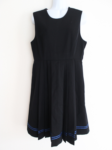 �����s ���쏗�q�w�����w�����w�Z�@�~�p�W�����p�[�X�J�[�g�@L-58