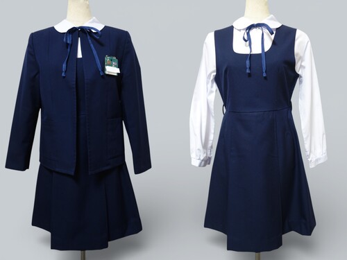 ���{ 462�����ʎs�� ��l���w�Z���i�������j�Z�́E���D�t �{�������W�����p�[�X�J�[�g�i�~�j��165A