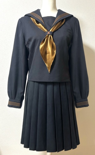 �����s �֓����ۊw�� �֓����ۍ����w�Z������T�C�Y���~�p�ꎮ�{�ʊw�p�J�o���{�V�i�\�b�N�X���S�Ďw��i��