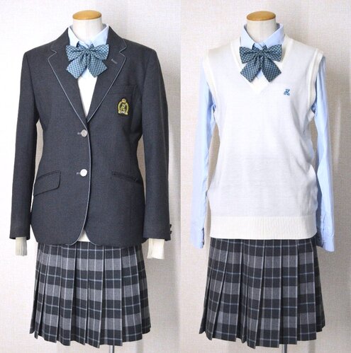  �������s �����w�@�����w�Z �u���U�[�~�ĕ� ���{����NS12T5969