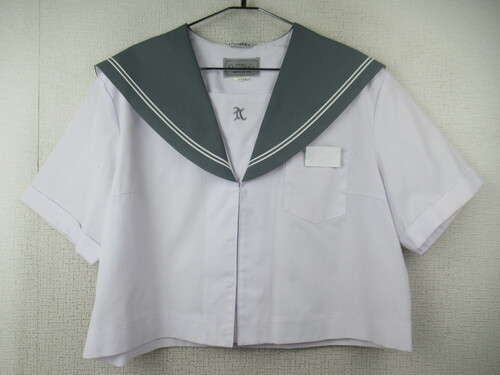 �啪�� 9317�@240�@����T�C�Y�I���Ò��w �ăZ�[���[�㒅 �O���[�� �O�z�b�N