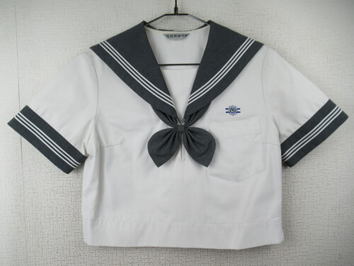 �F�{�� 9319�@240�@���㒆�w �ăZ�[���[�㒅�@�O���[�� ���{���t