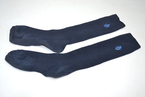  �������s �i�쏗�q�w�@�������E������ ���n�C�\�b�N�X ��NA0688