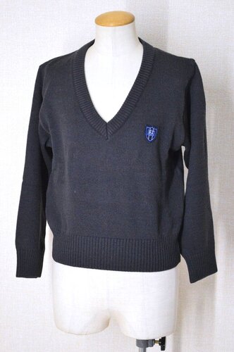  �������s �i�쏗�q�w�@�������E������ �~�� �Z�[�^�[��NS16T5979