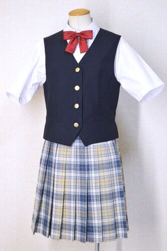  �������s�� �򒹍����w�Z �ĕ� �Ǖ��`�F�b�N�X�J�[�g ���{����T5946