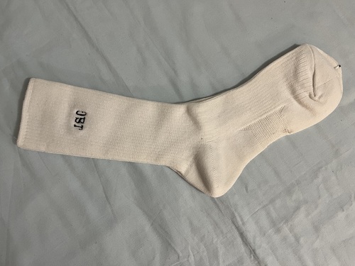 �����s ���q���w�@���w�Z�����w�Z�@�w��\�b�N�X�@�C���@���@�V�i