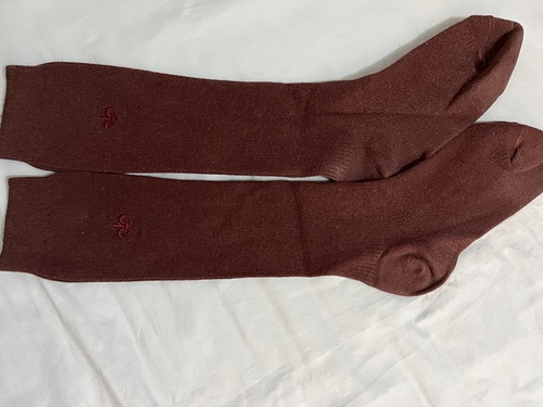 �_�ސ쌧 ���{��w�@�����w�Z�@���q�w��\�b�N�X�@�C���@����