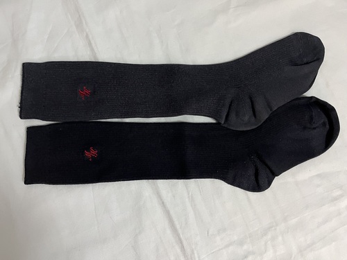 �����s �ڔ����S�����w�Z�@���q�w��\�b�N�X�@�C���@��