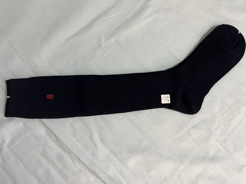 �����s �ʐ쐹�w�@�������@�w��\�b�N�X�@�C���@��