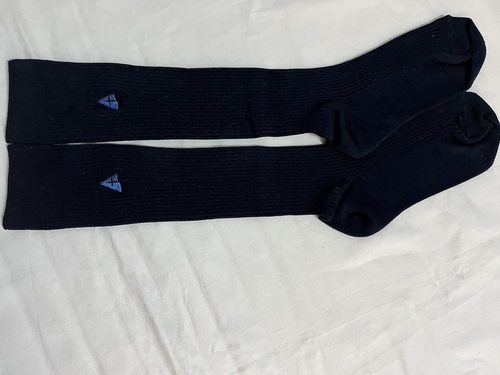 �_�ސ쌧 �A���Z�C�A�Ó썂���w�Z�@���q�w��\�b�N�X�@�C���@��