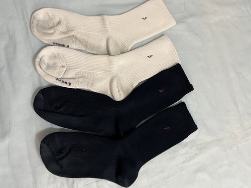 ���{ �������w�Z�@���q�w��\�b�N�X�@�C���@���ƍ���2��