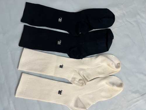 �����s �����Ɛ���w�������q�����w�Z�@�w��\�b�N�X�@�C���@���ƍ���2��