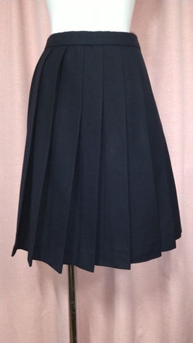 [�s��]  No.131  ���q�w�@���A�� �^�O    �Z�����X�J�[�g  �s���~����