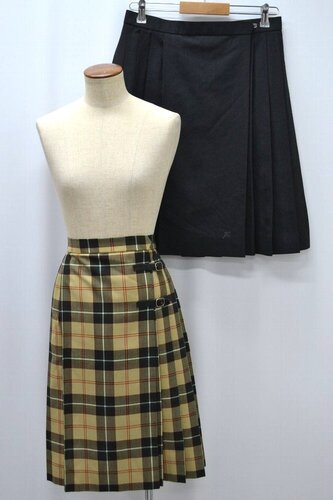  ����ʌ� �J�q�w�����w�E�����w�Z �ăX�J�[�g2�� ��NA0691