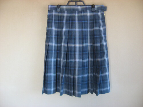 �V���� �����V���c�_�ƍ��Z�@�ăX�J�[�g