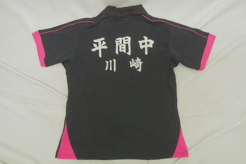  7267k �_�ސ쌧 ���s�� ���Ԓ��w ���q�\�t�g�e�j�X�� �~�Y�m ���j�t�H�[�� �T�C�YM