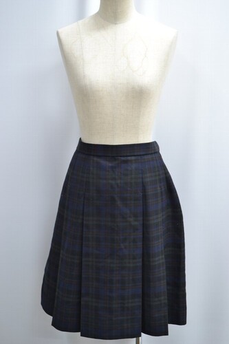  �Z�����s �����w�@�����R�����w�Z �~�X�J�[�g ����6184